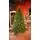 Prime Christmas Tree PE 210 CM 100 % Silicone Needle - ნაძვის ხე 100% სილიკონი, 2 image