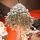 Premium Snow-Covered Christmas Tree PE 200 CM - ნაძვის ხე 100% სილიკონი, 9 image