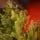 Enchanted Pine Christmas Tree PE+PVC 180 CM With Mixed Silicone Needle - ნაძვის ხე შერეული სილიკონის წიწვებით, 8 image
