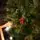 Winter Pearl Christmas Tree 210 CM With Pine Cones And Berries - ნაძვის ხე გირჩით და კენკრით, 8 image