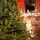 Riviera Alpine Christmas Tree 180 CM With Mixed Silicone Needle PE+PVC - ნაძვის ხე შერეული სილიკონის წიწვებით, 6 image
