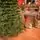 Ukrainian Prime Christmas Tree 100 % Silicone Needle 250 CM - ნაძვის ხე 100% სილიკონი, 4 image