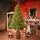 Christmas Whisper Tree PE+PVC 210 CM With Mixed Silicone Needle - ნაძვის ხე შერეული სილიკონის წიწვებით