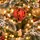 Christmas Sky Adventure Hanging Decoration - ნაძვის ხის სათამაშო