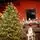 Mistlewood Christmas Tree 180 CM 100% Silicone With Stump - ნაძვის ხე 100 % სილიკონი, 5 image