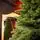 Ukrainian Prime Christmas Tree 100 % Silicone Needle 250 CM - ნაძვის ხე 100% სილიკონი, 12 image