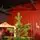 Evergreen Charm Christmas Tree 210 CM 100% Silicone - ნაძვის ხე 100 % სილიკონი, 3 image