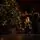 Snowdrop Christmas Tree 210 CM 100% Silicone With Lights - ნაძვის ხე 100 % სილიკონი, განათებით, 9 image