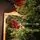 Alpina Christmas Tree 240 CM Edelweiss With Mixed Silicone Needle - ნაძვის ხე შერეული სილიკონის წიწვებით, 11 image