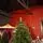 Snowcrest Christmas Tree 100% Silicone PE 210 CM With Stand - ნაძვის ხე სადგამით 100% სილიკონი, 4 image