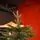 Alpine Christmas Tree PE 180 CM Green - საახალწლო ნაძვის ხე, 100 % სილიკონი, 4 image