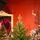 Northern Glow Christmas Tree 150 CM With Mixed Silicone Needle PE+PVC -  ნაძვის ხე შერეული სილიკონის წიწვებით, 3 image