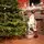Evergreen Charm Christmas Tree 210 CM 100% Silicone - ნაძვის ხე 100 % სილიკონი, 5 image