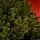 Lamelia Christmas Tree PE+PVC 240CM With Mixed Silicone Needle - ნაძვის ხე შერეული სილიკონის წიწვებით, 11 image