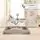 KikkaBoo Walker Paleo Beige - ჭოჭინა, 3 image