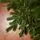 Nordic Frost Christmas Tree 100% Silicone 180 CM - ნაძვის ხე 100 % სილიკონი, 9 image