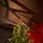Nordgran Christmas Tree Nordgran With Mixed Silicone Needle 270 CM - ნაძვის ხე შერეული სილიკონის წიწვებით, 3 image