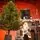 Northern Glow Christmas Tree 150 CM With Mixed Silicone Needle PE+PVC -  ნაძვის ხე შერეული სილიკონის წიწვებით, 5 image