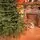 Alpina Christmas Tree 240 CM Edelweiss With Mixed Silicone Needle - ნაძვის ხე შერეული სილიკონის წიწვებით, 4 image