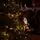 Winterlyn Christmas Tree 100% Silicone Needle With Lights PE 210 CM - ნაძვის ხე 100% სილიკონის წიწვებით და განათებით, 6 image