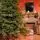 Alpina Christmas Tree 240 CM Edelweiss With Mixed Silicone Needle - ნაძვის ხე შერეული სილიკონის წიწვებით, 5 image