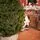 Lamelia Christmas Tree PE+PVC 240CM With Mixed Silicone Needle - ნაძვის ხე შერეული სილიკონის წიწვებით, 4 image