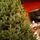Riviera Alpine Christmas Tree 220 CM With Mixed Silicone Needle PE+PVC - ნაძვის ხე შერეული სილიკონის წიწვებით, 12 image