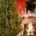 Enchanted Pine Christmas Tree PE+PVC 180 CM With Mixed Silicone Needle - ნაძვის ხე შერეული სილიკონის წიწვებით, 6 image