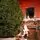 Lamelia Christmas Tree PE+PVC 240CM With Mixed Silicone Needle - ნაძვის ხე შერეული სილიკონის წიწვებით, 5 image