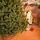 Riviera Alpine Christmas Tree 220 CM With Mixed Silicone Needle PE+PVC - ნაძვის ხე შერეული სილიკონის წიწვებით, 4 image