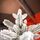Premium Snow-Covered Christmas Tree PE 200 CM - ნაძვის ხე 100% სილიკონი, 7 image