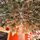 Premium Snow-Covered Christmas Tree PE 200 CM - ნაძვის ხე 100% სილიკონი, 11 image