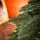 Premium Christmas Tree PE 200 CM ნაძვის ხე 100% სილიკონი, 16 image