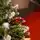 Winterwood Christmas Tree 210 CM With Pine Cones And Berries - ნაძვის ხე დათოვლილი ბოლოებით, გირჩით და კენკრით, 10 image