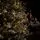 Arctic Snow-Covered Christmas Tree PE 225 CM With Lights - დათოვლილი ნაძვის ხე 100% სილიკონის წიწვებით, 12 image