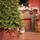 Nordora Christmas Tree PE+PVC 180 CM With Mixed Silicone Needle - ნაძვის ხე შერეული სილიკონის წიწვებით, 5 image