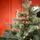 Holandiia Christmas Tree With Blue Tips PE 180 CM საახალწლო ნაძვის ხე, 100% სილიკონი, 8 image