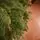 Premium Christmas Tree PE 200 CM ნაძვის ხე 100% სილიკონი, 9 image