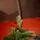 Premium Christmas Tree PE 200 CM ნაძვის ხე 100% სილიკონი, 6 image