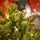Everwyn Christmas Tree  90 CM 100% Silicone Needle With Lights - ნაძვის ხე 100% სილიკონის წიწვებით და განათებით, 6 image