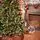 Frostmere Christmas Tree 180 CM With Pine Cones And Berries - ნაძვის ხე დათოვლილი ბოლოებით, გირჩით და კენკრით, 4 image