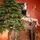 Premium Christmas Tree PE 200 CM ნაძვის ხე 100% სილიკონი, 5 image