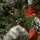 Lidia Green Christmas Tree With White Tips, Pine Cones And Berries PVC 250CM - ნაძვის ხე თეთრი ბოლოებით, გირჩით და კენკრით, 8 image