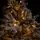 Celestine Snow-Covred Christmas Tree PE+PVC 210 CM With Mixed Silicone Needle And Lights - დათოვლილი ნაძვის ხე შერეული სილიკონის წიწვებით და განათებით, 15 image