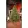 Holandiia Christmas Tree With Olive Tips PE 250 CM საახალწლო ნაძვის ხე, 100% სილიკონი, 2 image