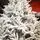 Serenia Snow-Covered Christmas Tree PE+PVC 210 CM With Mixe Silicone Needle - დათოვლილი ნაძვის ხე შერეული სილიკონის წიწვებით, 5 image