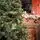 Holandiia Christmas Tree With Blue Tips PE 210 CM საახალწლო ნაძვის ხე, 100% სილიკონი, 6 image