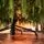Pinecrest Christmas Tree PE 210 CM  - ნაძვის ხე 100% სილიკონი, 14 image