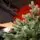 Holandiia Christmas Tree With Blue Tips PE 180 CM საახალწლო ნაძვის ხე, 100% სილიკონი, 10 image