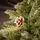 Velvet Wonderland Christmas Tree PE+PVC 210 CM With Mixed Silicone Needle And Pine Cones - ნაძვის ხე შერეული სილიკონის წიწვებით და გირჩით, 6 image